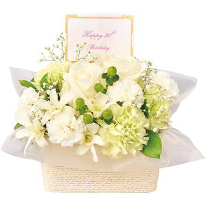 j Ԃ   Ε ~Mtg Mtg  AW t[Mtg a Ԃ zCg bZ[W  킢 oYj j j oYj o