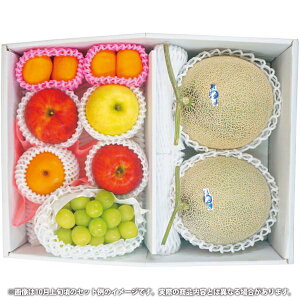 内祝い お返し 送料無料 フルーツ ギフト 旬を味わうフルーツ盛り合わせ 国産 くだもの セット 詰め合わせ 果物 果実 食品 出産内祝い 結婚内祝い 結婚祝い 出産祝い 引き出物 香典返し お祝