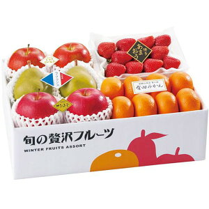 Ε  t[c Mtg X  S Tӂ WiS[h R` EtX ܂  Lc݂ Zbg lߍ킹 ʕ ʎ { O Hi Ε 2025 