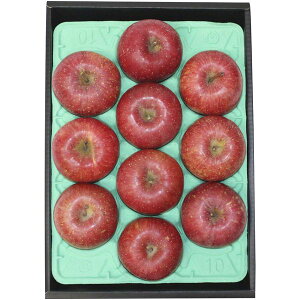 Ε  t[c Mtg Y MB Tӂ  S ь 3kg 10 Zbg lߍ킹 ʕ  ʎ { Yi Yi lC O Hi Ε 2025 ΕMtg 