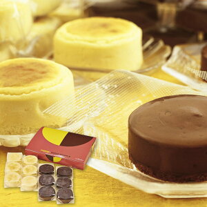 Ε  XC[c Mtg َq mَq XtP[L 2 12 Zbg lߍ킹 `[YXt `RXt P[L `[YP[L  O Hi  Ε 2025 Ε