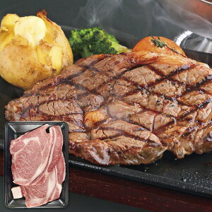 Ε   a Mtg ݖa [XXe[L 2 v500g Zbg lߍ킹 Xe[L Xe[L  O Hi Hו Ⓚ Ε 2025 ΕMtg 蕨 