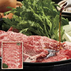 Ε  {苍  a Mtg [X Ăp 400g Zbg lߍ킹 ₫  ґ   O Hi Hו Ⓚ Ε 2025 ΕMtg 蕨 Ԃ 