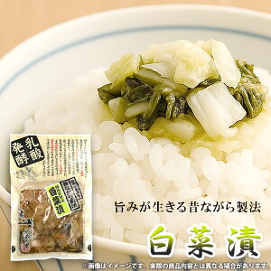 Е Y ؒ  _y yHi 120g т̂ ͂̂Ƃ y ay ܂ ̍    yY  O ei ii 퉷 Hi Hו ŷE