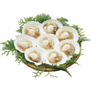 j Ԃ  CN  CY Mtg kĈȂقĊL L 8 Zbg lߍ킹  Hi oYj j j oYj o TԂ 