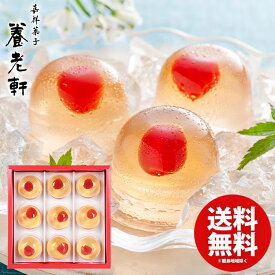 内祝い お返し 送料無料 スイーツ ゼリー お中元 夏ギフト ギフト お菓子 京都 養老軒 山形県産さくらんぼのゼリー 9個入 お取り寄せ セット 詰め合わせ 出産内祝い 入学 卒業 祝い 結婚内祝い 香典返し 快気祝い お祝い返し 引越し 挨拶 お礼 【代引不可】 YJ-YS