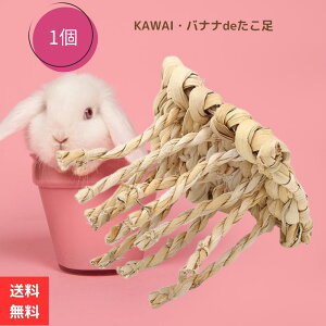  KAWAI   oiide 1  ETM bg `` fO[ V oii 