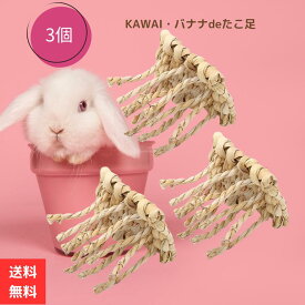 川井 KAWAI うさぎ おもちゃ バナナdeたこ足 3個 セット 小動物 ウサギ モルモット チンチラ デグー 遊び バナナ おもちゃ