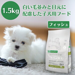 y3`12 e ܂₯EсEPAz lC`[YveNV zCghbO OCt[ zCgtBbV WjA 1.5kg  q hbOt[h zCg hbO 