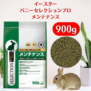 C[X^[ oj[ZNVv eiX 900gi225g×4܁j `V[ Oet[  ybg t[h `V[ rbgt[h  `V[ Y  a oj[ZN