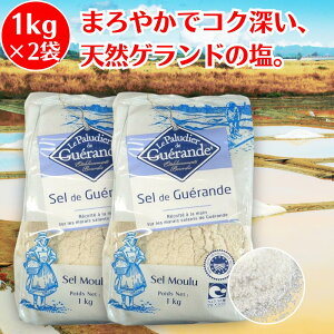  1kg ×2 Z}hQh Qh̉  VR salt VR  Qh  tX C̉ e ANA[ ǂ̂ Qh   Qh VI  VR V