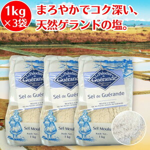  1kg ×3 Z}hQh Qh̉  VR salt VR  Qh  tX C̉ e ANA[ ǂ̂ Qh   Qh VI  VR V