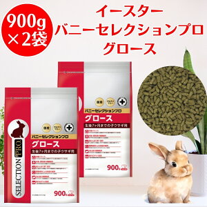 y2܃Zbgz C[X^[ oj[ZNVv O[X 900g i225g×4܁j Oet[ oj[ZNV  ybg  a C[X^[oj[ZNV ETM 