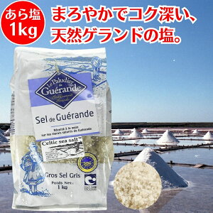 牖 1kg Z}hQh Qh̉  VR salt VR  Qh  tX C̉ e ANA[ ǂ̂ Qh   Qh VI  VR V