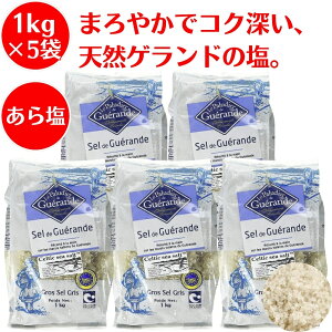 牖 1kg ×5 Z}hQh Qh̉  VR salt VR  Qh  tX C̉ e ANA[ ǂ̂ Qh   Qh VI  VR 