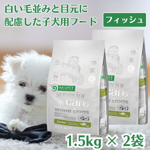 y2܃Zbg 3`12 e ܂₯EсEPAz lC`[YveNV zCghbO OCt[ zCgtBbV WjA 1.5kg  q hbOt[h zCg