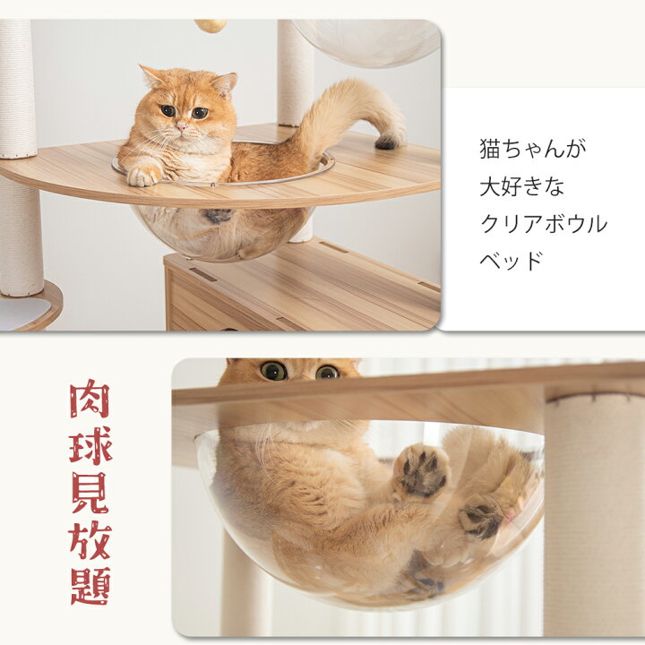 木製キャットタワー 透明ボウル付き 【16日までの価格です、】 楽天 