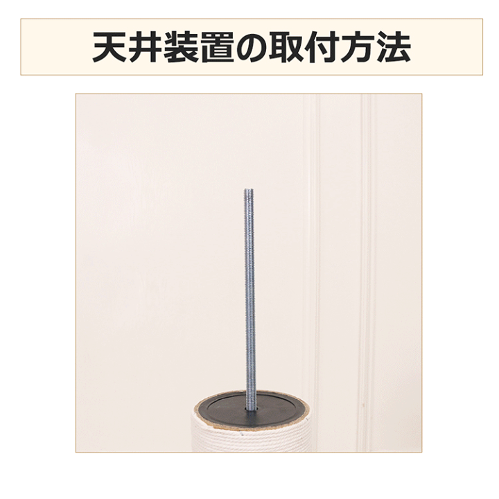 楽天市場】【楽天1位・板厚み15mm】6段タイプ・あす楽 キャット
