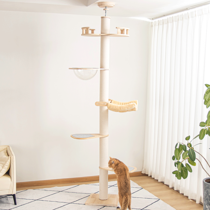 楽天市場】【6段タイプ・板厚み15mm】あす楽 キャットタワー 突っ張り