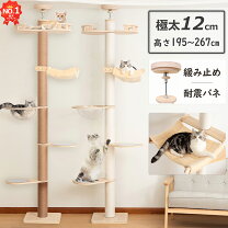 楽天市場】キャットタワー 突っ張り 木製の通販 