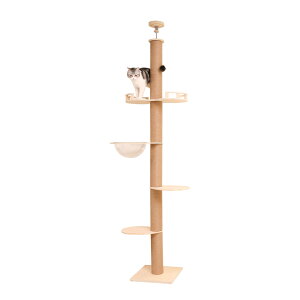 y6i^CvE15mmzy Lbg^[ ˂ ؐ ^L X ؓo  Lbgc[ VjA ɑ L^[ ~߃}bgt 傫ڃXebv  ȃXx