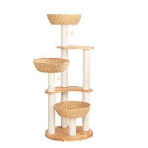 y~}N[|10800~zy Lbg^[ ؐ ^ VR u ^L  o[Ebh ҂݃JS CeA  X ~p t L^[ FD N