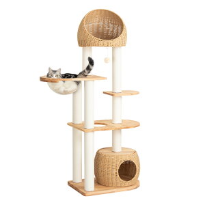 y~}N[|13800~z_nEX^ Lbg^[ u  ҂݃JS ؐ lC X ^L xbh   RbgR 153cm Lbgc[ VjAL 