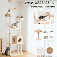 【スーパーセール限定2000円OFF】 キャットタワー 突っ張り 木製 人気 ハンモック 安定性 短足猫 省スベ…