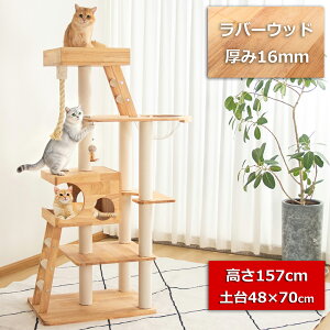 yN[|1000~OFF17800~z Lbg^[ ؐ u ^L _^  X  L L^[ VjA R[i[ Lbgc[ FD ȃXy[X 157cm NA