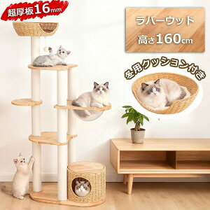 y~}N[|3000~OFF13800~z Lbg^[ ؐ ^L  u FD VR X B  Lbgc[ VjA L^[ NbV ܂Ƃ|[  