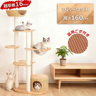 【3000円OFF⇒13800円】 キャットタワー 木製 大型猫 おしゃれ 据え置き 宇宙船 天然木 スリム 隠れ家 夏…