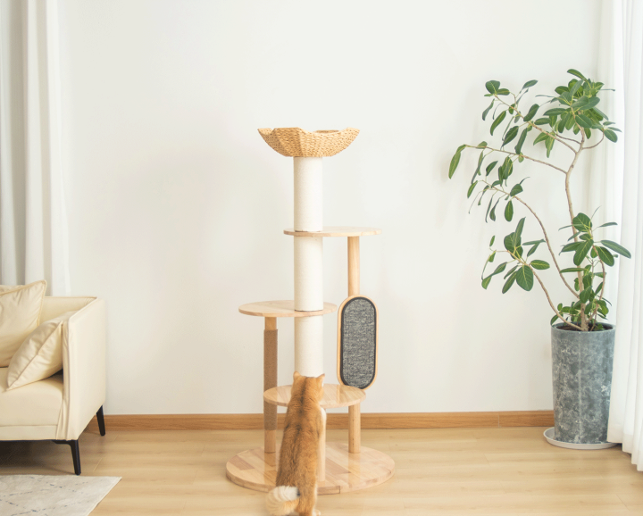 キャットタワー 木製 大型 天然木使用 据え置き 大型猫 おしゃれ ラバーウッド Amazon | PETTIFUL キャットタワー 木製 【天然木使用】 大型