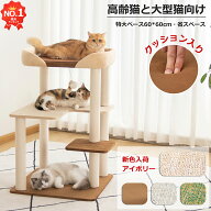 【1000円OFFクーポン⇒7680円】＼楽天1位／ キャットタワー 低い 据え置き クッション入りベッド 低め 特…