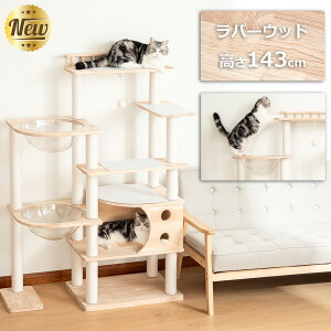 yN[|5000~OFF19800~zC Lbg^[ ؐ u  ȃXy[X݌v  ~߃}bg  X VR L^[ FD ^L VjA ܌ Lbg