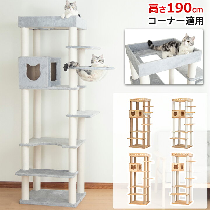 楽天市場】【スーパーセール限定クーポン5000円OFF】 キャットタワー 