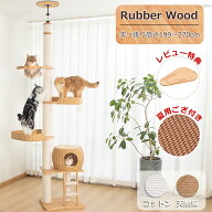 【2000円OFF⇒16800円】 キャットタワー 突っ張り 木製 極太 ＼涼しいゴザ付き／ 大型猫 おしゃれ 夏用 …