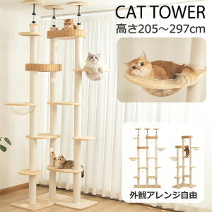 y~}N[|5000~OFF19800~z_`ԃAW\^ Lbg^[ ˂ tt ȃXy[X ~p CeA 萫 xbh  ^L X  