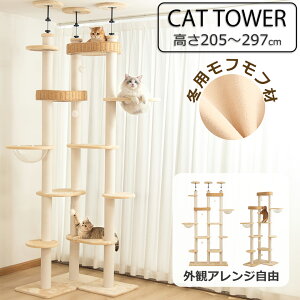 y~}N[|5000~OFF21800~z_`ԃAW\^ Lbg^[ ˂ tt ȃXy[X ~p CeA 萫 xbh  ^L X  