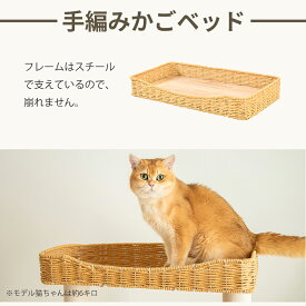 キャットタワー交換品 展望台 見晴台 パーツ 取替用 取替品 木製 据え置き おしゃれ 多頭飼い スリム 猫タワー 天然木 大型猫 シニア猫 成猫 重厚感 安定 運動不足解消 インテリア性 シンプル