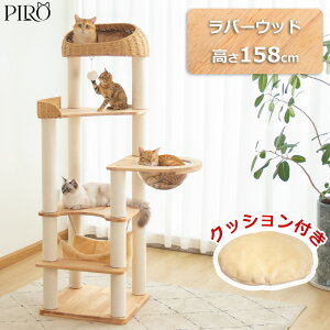 yʏ퉿i3000~OFFz Lbg^[ ؐ u  159cm  VR o₷  X L^[ FD ^L L qL ܂Ƃ|[ ȃXy[X lC V