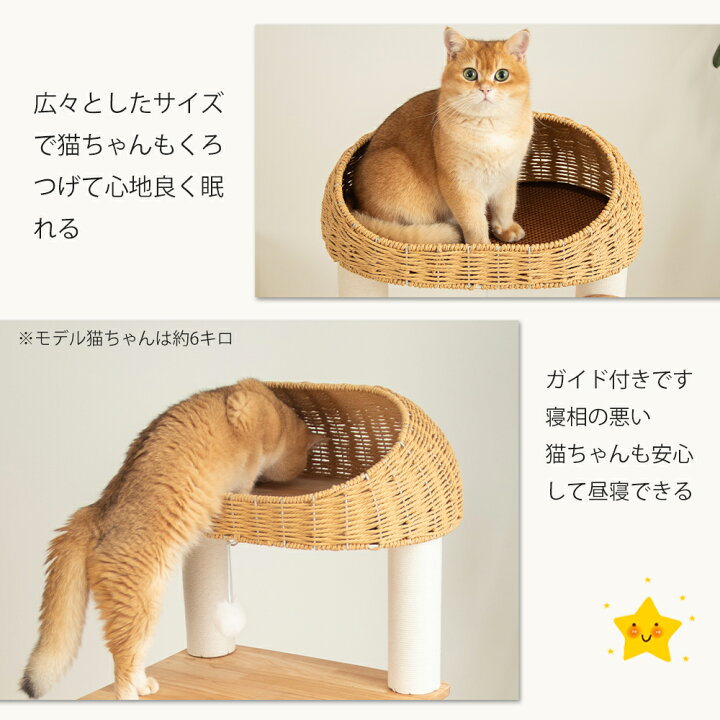 楽天市場】【2000円OFF⇒14800円】 キャットタワー 木製 据え置き 