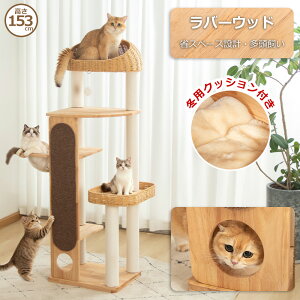 yʏ퉿i3000~OFFz Lbg^[ ؐ u  VR 153cm  lC VR o₷  X L^[ d FD ^L VjA XNb` Lb