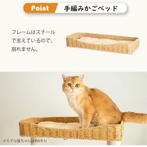 Lbg^[i W]  p[c ֗p ֕i ؐ u   X L^[ VR ^L VjAL L d  ^s CeA Vv