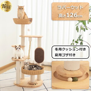 y~}N[|11580~z Lbg^[ u  ؐ qL ^L 128cm  VR ^ B CeA  L ZL ϋv 萫 X  L^