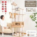 2000円クーポン⇒12580円＼真冬も快適／ ふわふわベッド付き キャットタワー 木製 据え置き 大型猫 おしゃれ 特大宇宙…
