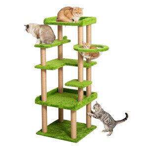 yVioN[|3000~OFF8800~z Lbg^[ u IV L ȃXy[X CeAɓ 萫 VjAL ^L X  oRj[  LX o₷ 