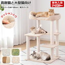 【限定セール1000円OFF⇒5980円＆楽天1位】クッション入りベッド キャットタワー 低い 据え置き 特大ベース おしゃれ …