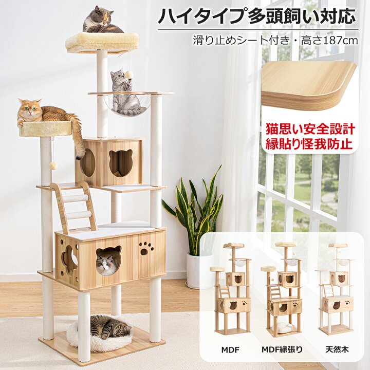 楽天市場】【1000円OFFクーポン⇒9980円】縁張り仕様も登場！ キャット 