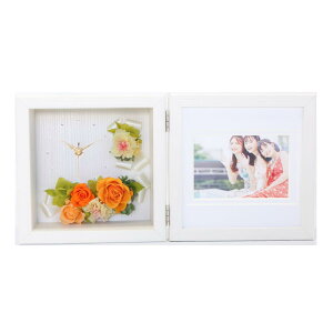  y Arvo Deux -AHhD- zvU[uht[ v  ʐ^ tHgt[ j җ ސE ^썥 p[ 30N {   e LO a t