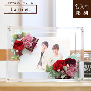 yLa reine- [k-zANtHgt[ J[l[V vU[uht[ ̓ җj e j ʐ^ tHgt[ lj a LO ^썥 